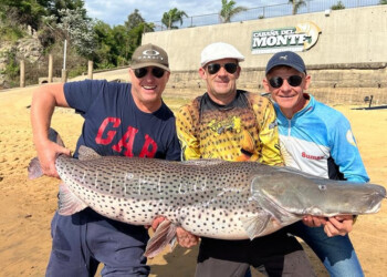 Pescadores misioneros atraparon un enorme surubí de 65 kilos en Corrientes