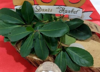 100 años del Club Argentino Danés “La Esperanza”