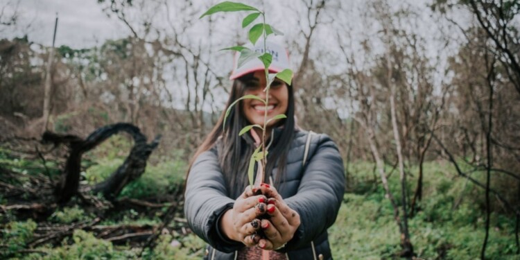 Destacan el nivel de participación en las plantaciones masivas
