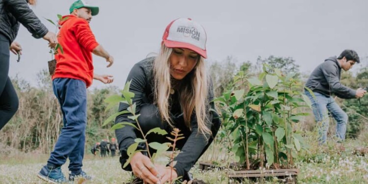 Destacan el nivel de participación en las plantaciones masivas