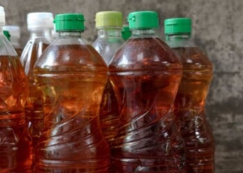 Apóstoles avanza en el proyecto de la recolección de aceites