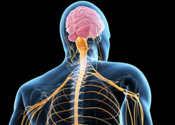 ELA: el diagnóstico temprano y el abordaje adecuado son claves