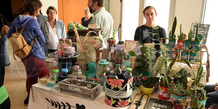 Galería: la segunda Ecoferia de Posadas, en imágenes