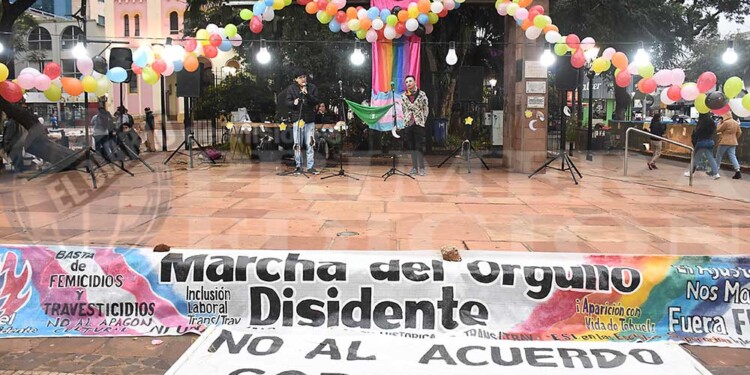 ESI y cupo laboral trans, reclamos en la Marcha del Orgullo Disidente en Posadas