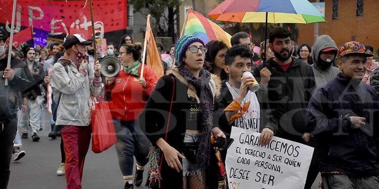 ESI y cupo laboral trans, reclamos en la Marcha del Orgullo Disidente en Posadas