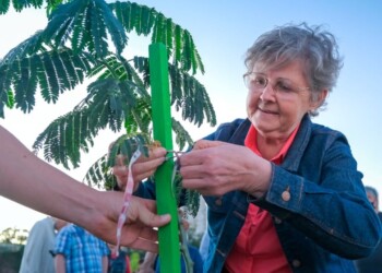 Invitan a la comunidad a plantar 1.000 árboles en la Travesía Urbana de Posadas
