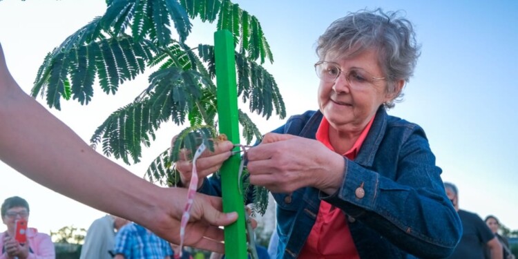 SUSTENTABLE. La iniciativa surge con el objetivo de plantar y reponer árboles como parte del proyecto integral.
