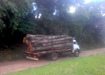 Preocupación en comunidad mbya por la intención de Arauco de avanzar en sus tierras