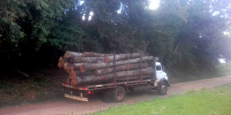 DISPUTA. La empresa mantiene una disputa con los mbya por los derechos ancestrales de los guaraníes.