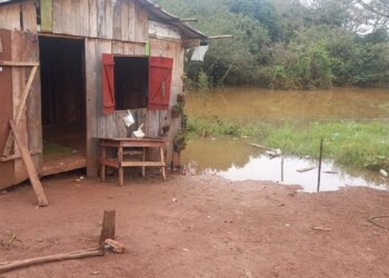Desciende el río Uruguay y mañana volverían las balsas