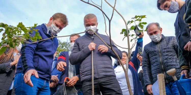Plantaron mil árboles en la Travesía Urbana de Posadas