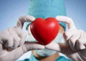 Donación de órganos