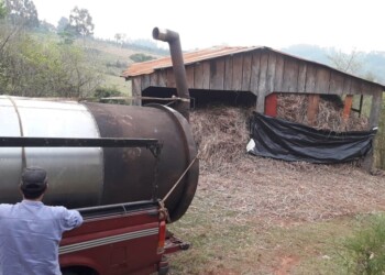 El duro momento de los misioneros que viven de la producción de citronela