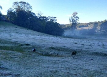 Hacia métodos eficientes para combatir las heladas