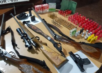 Lo denunciaron por violencia de género y le secuestraron cuatro armas de fuego