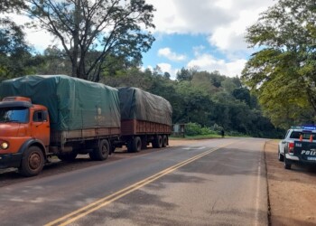 Murió un motociclista tras chocar contra un camión