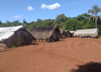 Veterinarios recaudarán abrigos y alimentos para donar a comunidades mbya
