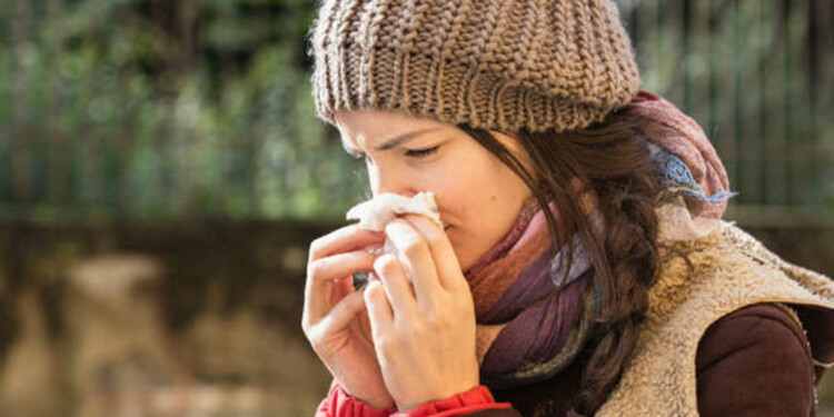 ÁCAROS. El clima de Misiones húmedo y cálido favorece a los ácaros que son altamente productores de alergias.