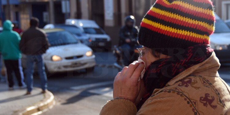 EN AUMENTO. Los cuadros alérgicos van en aumento en todo el país.