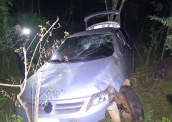 Se durmió al volante y terminó entre la vegetación