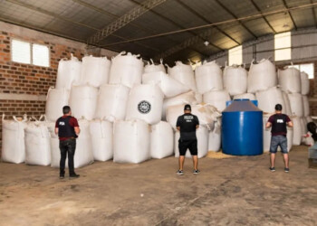 Juez federal de Oberá procesó a la banda de contrabando sojero