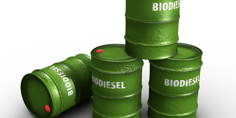 A mediados de septiembre volvería la estudiantina a Posadas