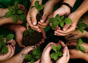 “Guardianes del Ambiente”: forman a estudiantes en cuidado ambiental