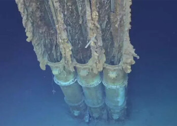 Encontraron un barco hundido a 7.000 metros bajo el mar: es el naufragio más profundo registrado