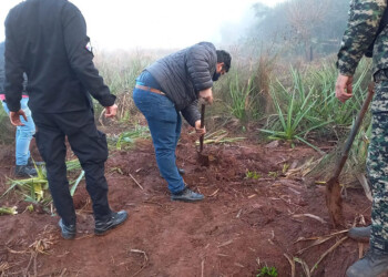 Hallaron un cráneo de hombre con un disparo