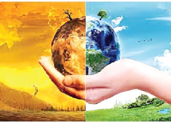 Responsables de la sustentabilidad