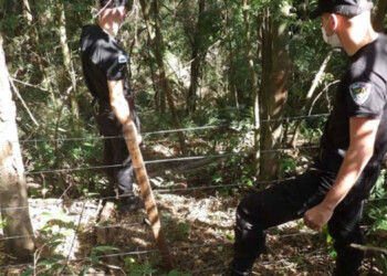 Prisión preventiva para el acusado de asesinar a Camargo De Lara