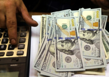 Dólar récord: “Estamos ante un panorama de destrucción de un mercado”