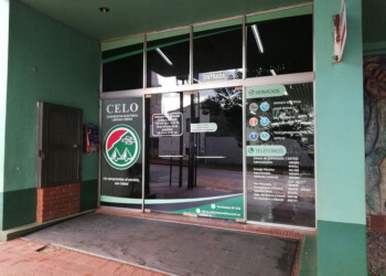 CELO en crisis: “Estamos buscando abrir el diálogo con EMSA que antes no existía”