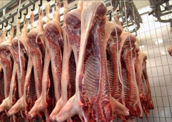 Industriales locales preocupados por importación masiva de cerdo