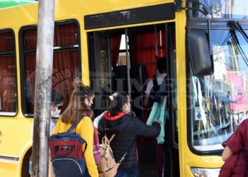 Colectivos: reclaman más puntos de carga de la SUBE