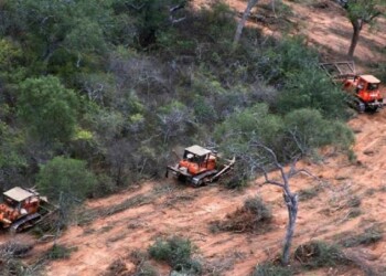 Advierten que “Argentina entró en default ambiental”