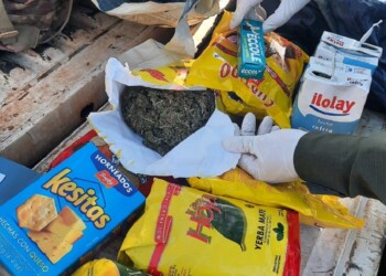 Transportaba droga en paquetes de yerba y galletitas