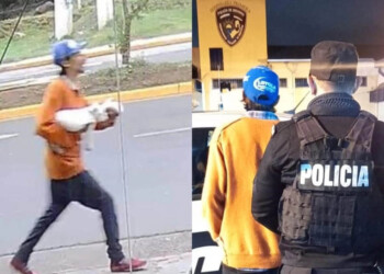 Robó un bulldog francés, fue captado por cámaras, y quedó detenido 