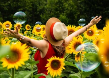 Manifestando el amor en ti