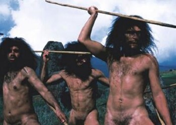 ¿Por qué sólo hay una especie humana?