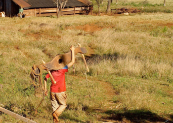 Trabajo infantil: una realidad que va cambiando con matices y concientización