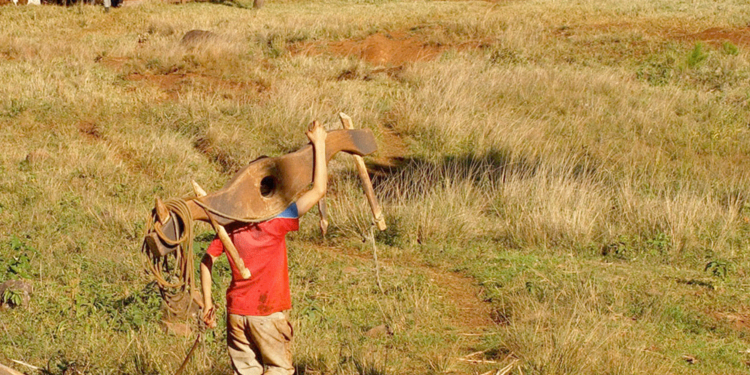 ACCIONES. Al ser una problemática multicausal, la solución no es una sola y requiere operar de forma interinstitucional y sostenida en el tiempo.