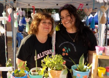 ¿Qué motiva la lealtad de un cliente a una marca?