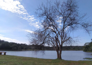 Avances en las obras del Lago Ziegler