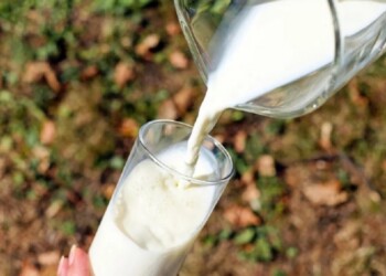 Día Mundial de la Leche: solo uno de cada diez argentinos consume la suficiente