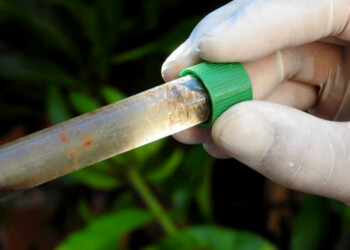 En Misiones “estamos estables epidemiológicamente”