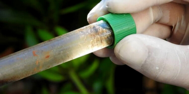 EN ALERTA. Con las bajas temperaturas la incubación del mosquito se ralentiza, pero no se detiene.