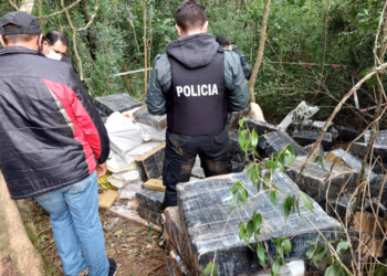 Narcotráfico: incautan millonario cargamento de marihuana acopiada en el monte