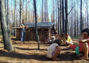 Comunidad mbya se niega al avance de Arauco en sus tierras