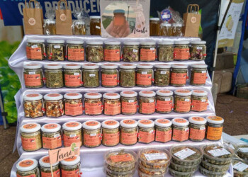 Recolectores de  Cerro Azul impulsan el uso de medicinales